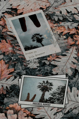 Dreaming Under the Palms 🌴✨