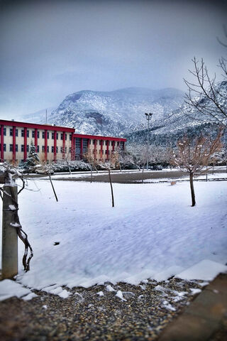 Winter Wonderland at PAU Live ❄️🏔️