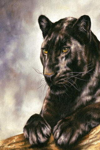 Majestic Panther: The Shadow of the Jungle