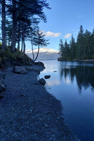 Tranquil Reflections at Passage Canal 🌊🌲