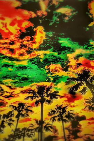 Tropical Dreams: A Palmen Paradise 🌴✨