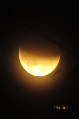 Partial Lunar Eclipse