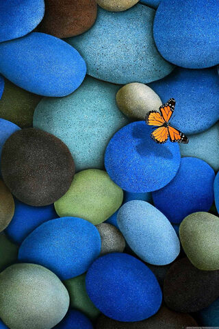 Pebbles of Serenity: Nature's Palette 🌈🦋