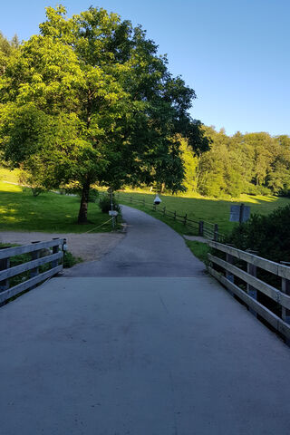 Journey Through Nature's Path 🌳🚶 ️