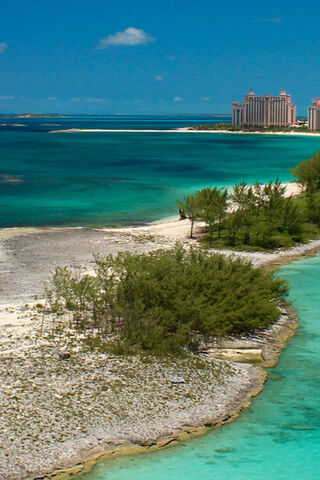 Tropical Serenity 🌴🌊