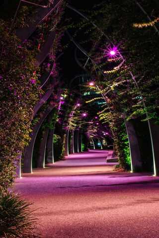 Enchanted Pathway of Purple Dreams 🌌💜