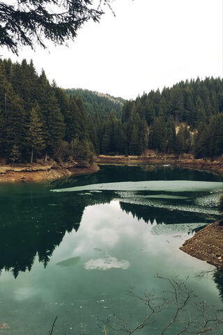 Serenity in Nature 🌲💧