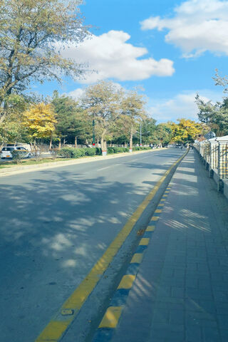 Serenity on the Streets of Quetta Cantt 🌳🚶 