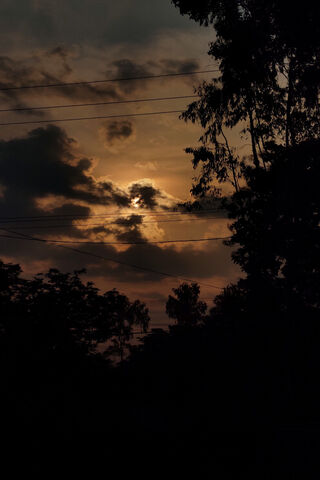 Awakening Horizon: The Rising Sun 🌅