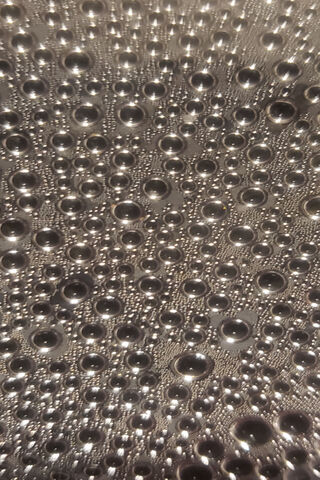 Dewy Petals: Nature's Artistry 🌸💧