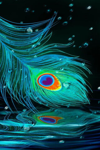 Whispers of the Feathered Rain 🌧️🦚