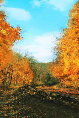 Autumn Tracks: A Journey Through Nature 🍂🚂