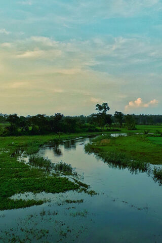 Whispers of the Waterway 🌊✨