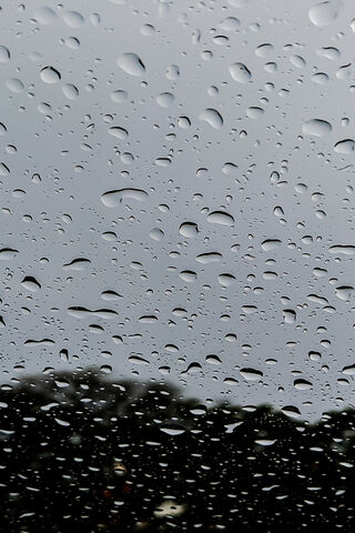 Nature's Crystal Tears: A Rainy Day Delight