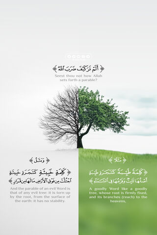 The Parable of Growth: A Tale of Two Trees 🌳✨