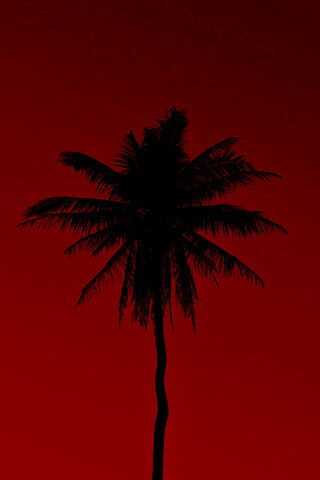 Crimson Silhouette: The Enigmatic Red Palm 🌴❤️