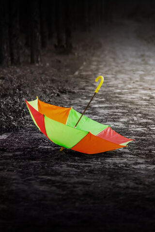 Colors of the Rain: A Bright Umbrella in Gloom