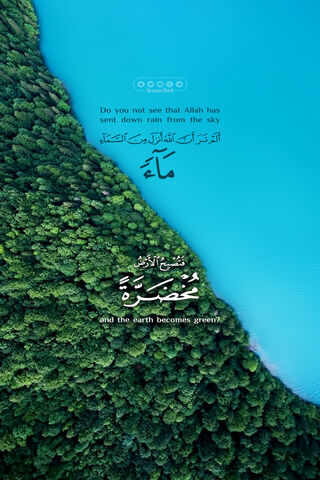 Nature's Harmony: A Divine Connection