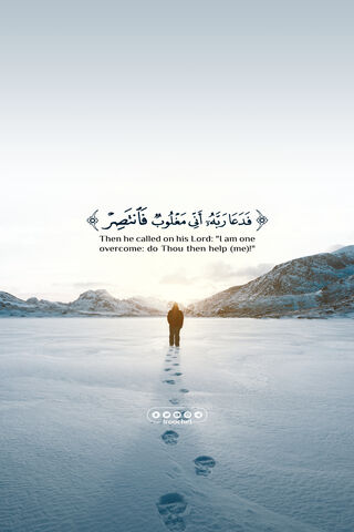 A Call for Help in the Wilderness