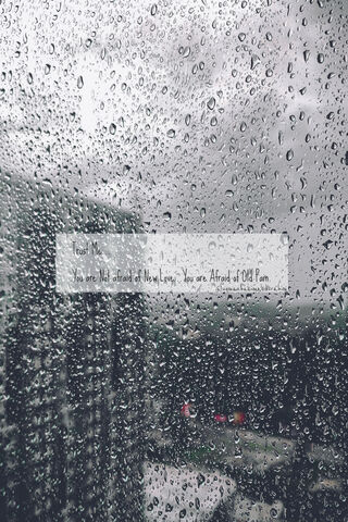 Whispers of Rain 🌧️✨