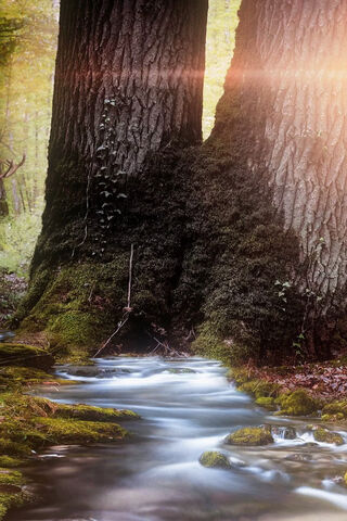 Whispers of the River 🌊✨