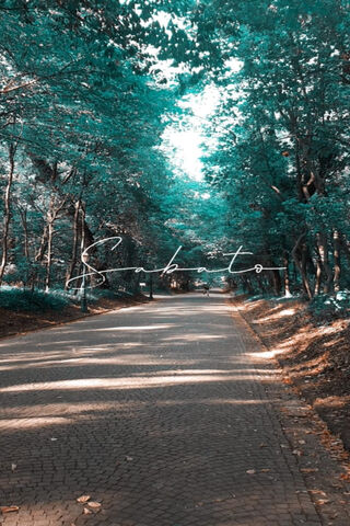 Serene Saturday Stroll 🌳✨