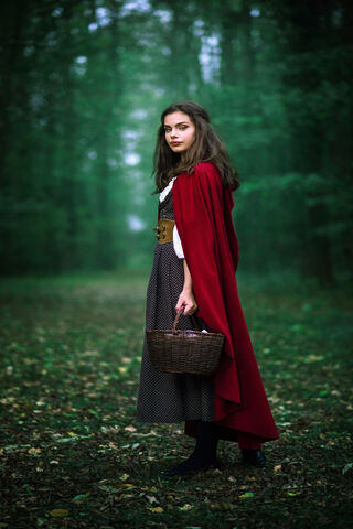 Into the Enchanted Woods 🌲✨