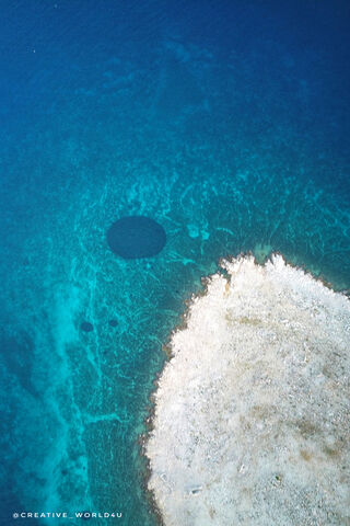 Serenity Beneath the Waves 🌊✨