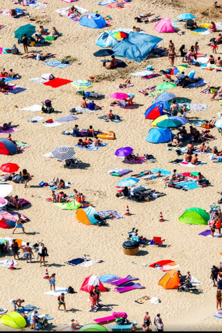 Sunny Vibes at Summer Beach 🌞🏖️