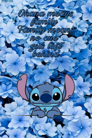 Stitch