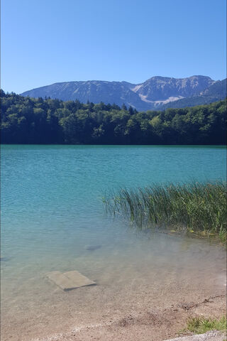 Serenity by the Sea: A Tumblr Dream 🌊✨