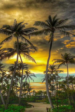 Tropical Twilight Bliss 🌅