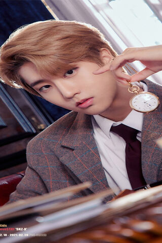 Timeless Charm: Skz Han Jisung