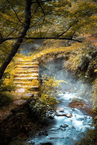 Whispers of Nature: The Enchanted Path