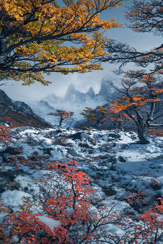 Winter's Embrace in Nat..