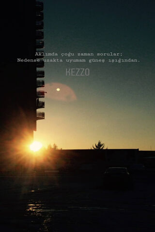 Chasing the Golden Light 🌅