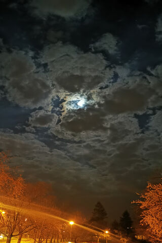 Whispers of the Night Sky 🌙✨