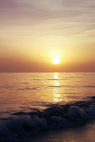 Golden Horizon: A New Day Begins 🌅