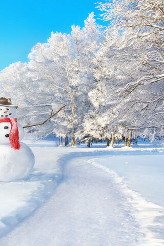 Winter Wonderland: The Cheerful Snowman ☃️❄️