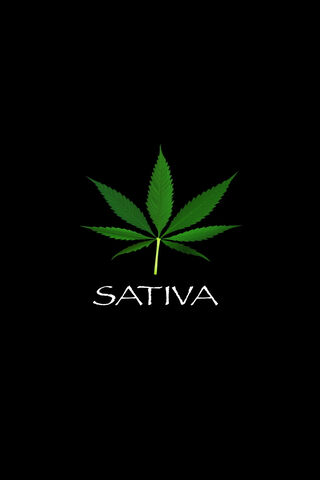 Sativa