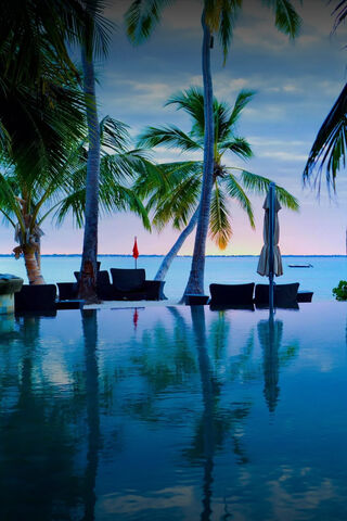 Tropical Oasis: Serenity by the Pool 🌴💦