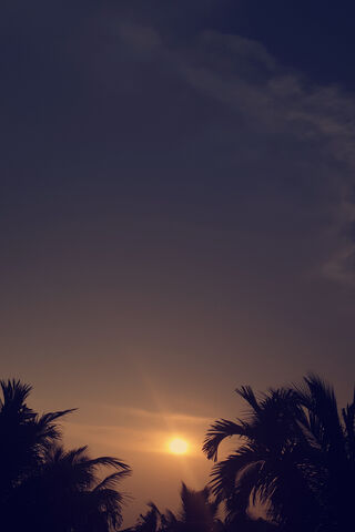 Golden Horizon: A Sunset to Remember 🌅