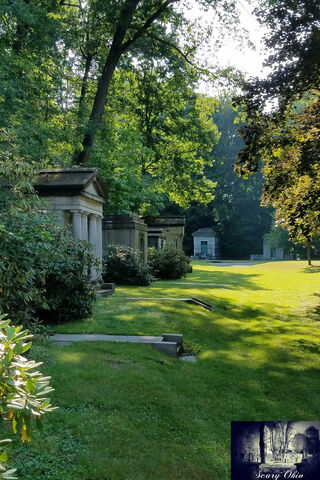 Whispers of the Past: A Stroll Through Summer Cemetery 🌳✨