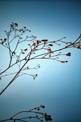 Whispers of the Sky 🌤️