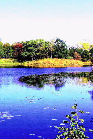 Still Water