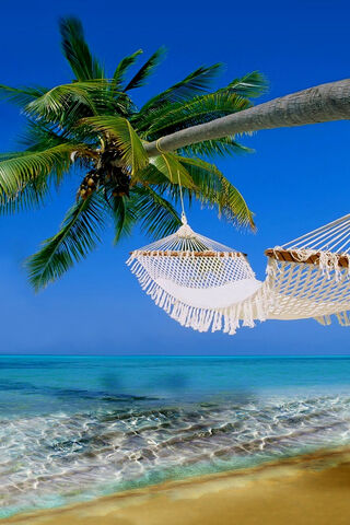 Paradise Awaits: A Tropical Escape 🌴🌊