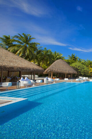 Paradise Awaits: A Tropical Escape 🌴🏖️