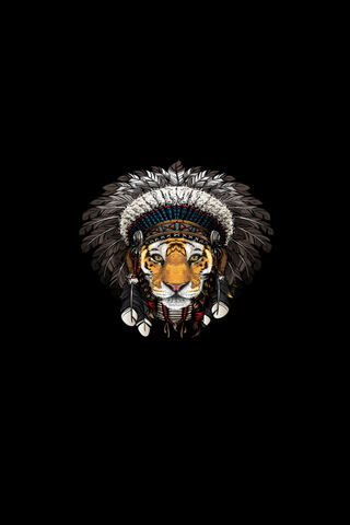 Tigre Indio: The Spirit of the Wild