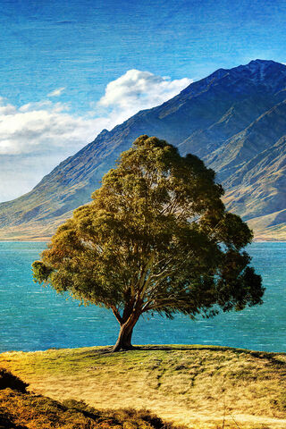 Tree At Glacial Lake