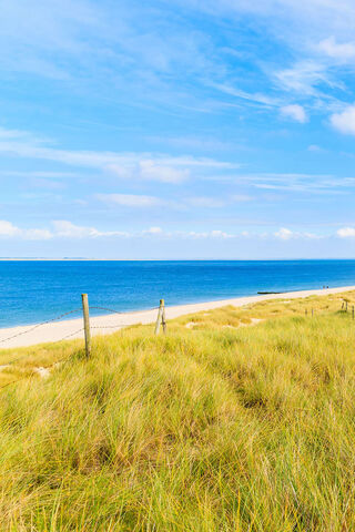 Serenity by the Shore 🌊🌾